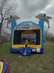 Dolphin Bounce House